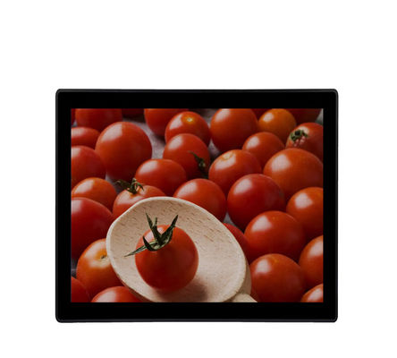 19&quot; industrieller Touch Screen Monitor VGA DVI gab Kioske wasserdichten LCD-Monitor ein
