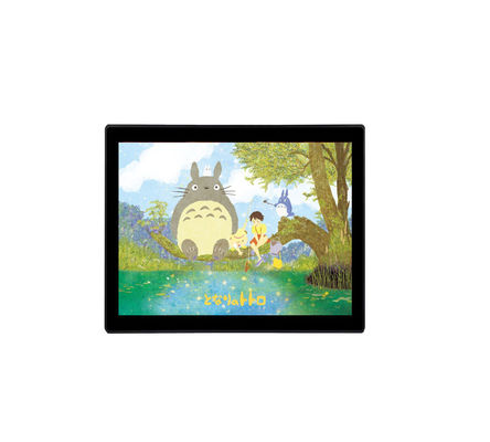 DC 12V3A 19 bewegen industrieller LCD-Monitor wasserdichten LCD-Monitor ROHS Schritt für Schritt fort